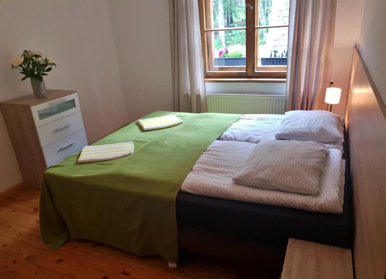 Apartament Zieleniec Duszniki Zdrój Exterior foto